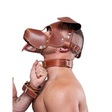 Mister B Leather Collar Stitched - Brown*