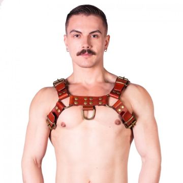 Prowler RED Butch Harness Brown/Brass