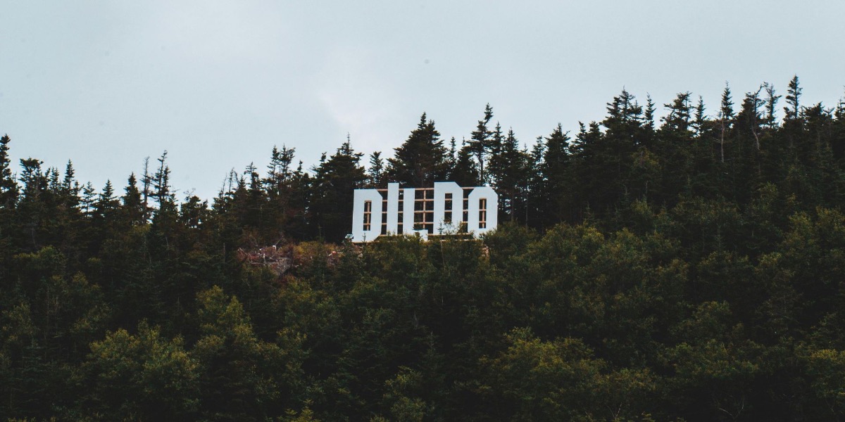 dildo-hollywood-sign